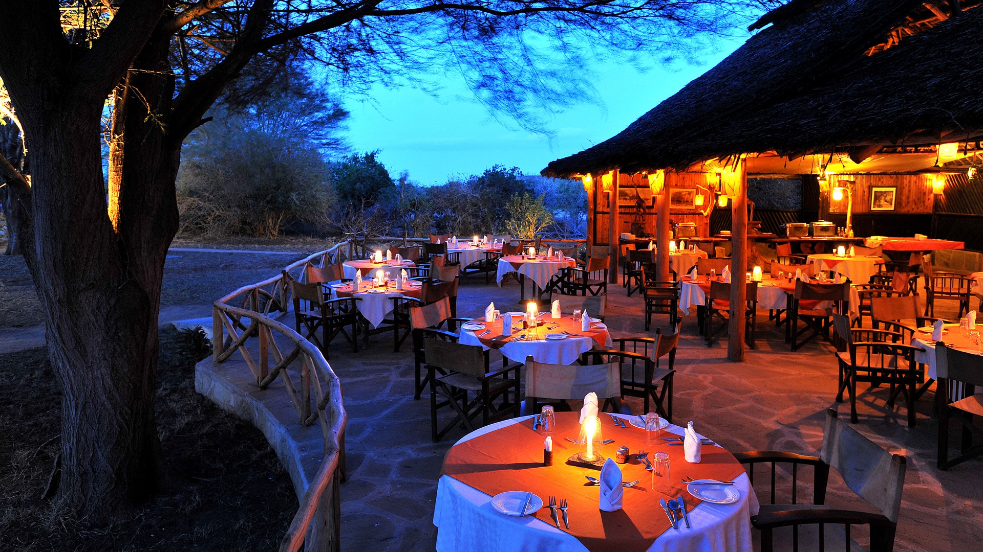 Satao Camp - image 12