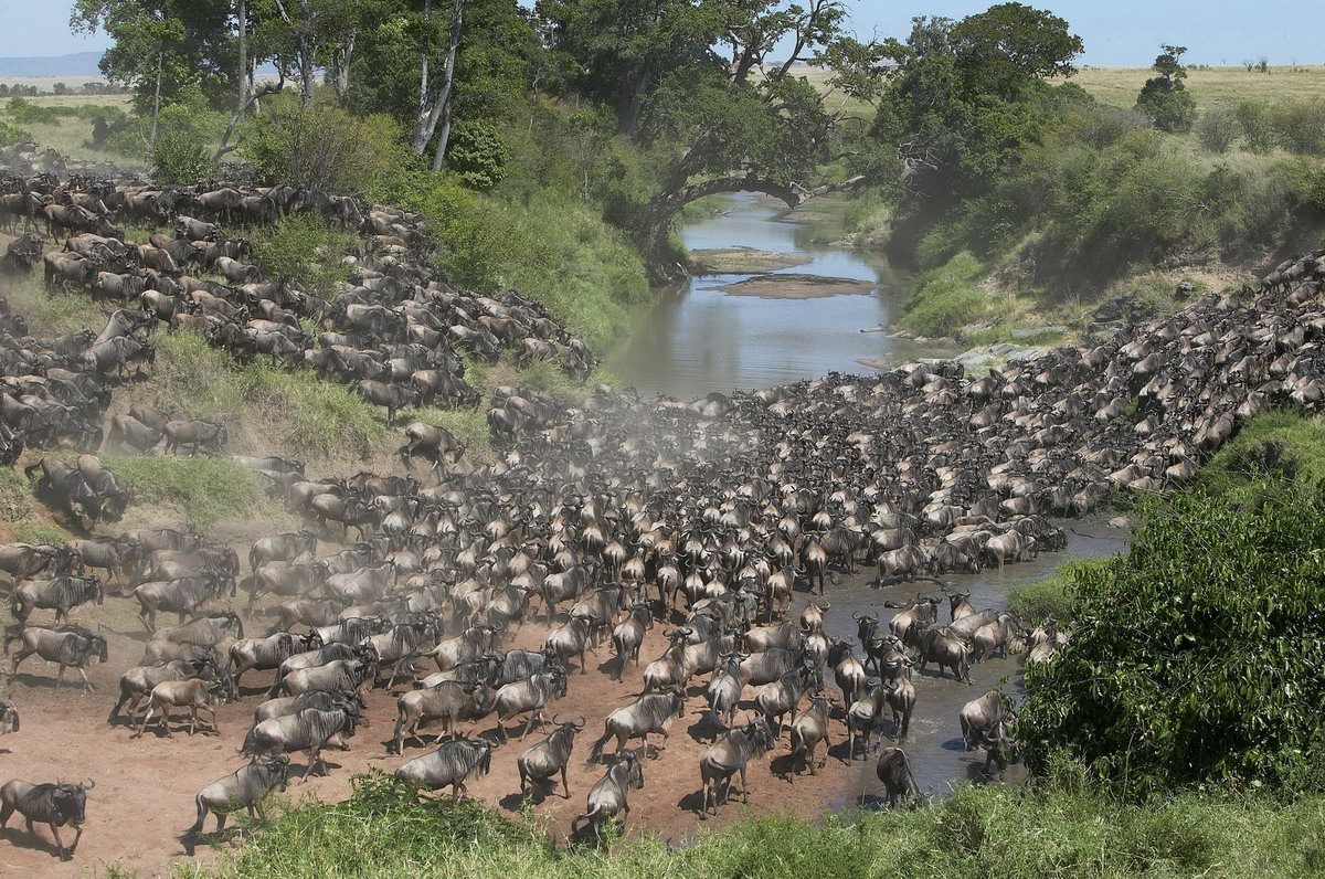 Great Migration