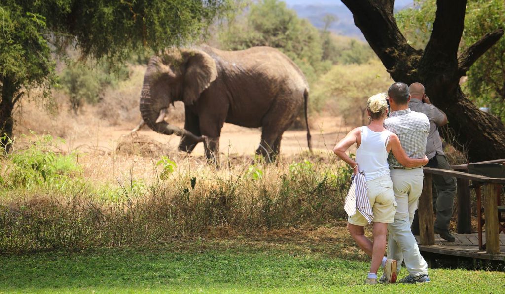 Couple watching elephant graze at Amboseli National Park
